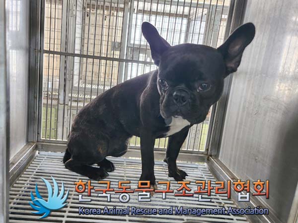 종료(반환) 프렌치…
